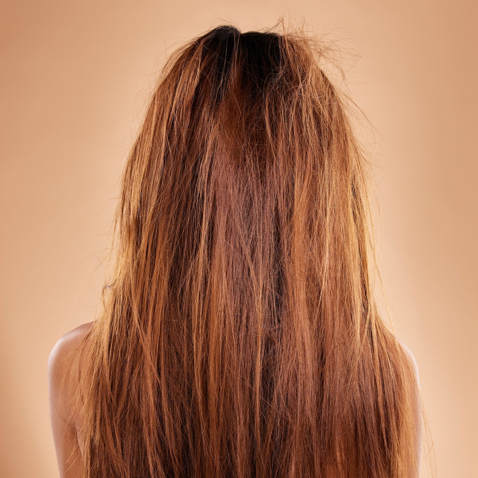 before Messy, damaged hair and back of a woman in a studio with a brittle frizzy hairstyle before a treatm.